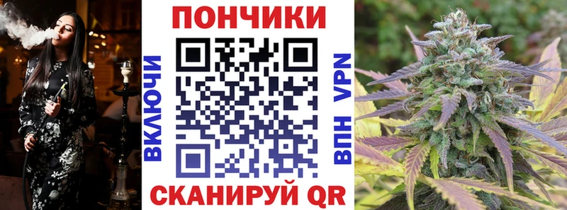 гидра ТОР Тихвин Канабис планчик